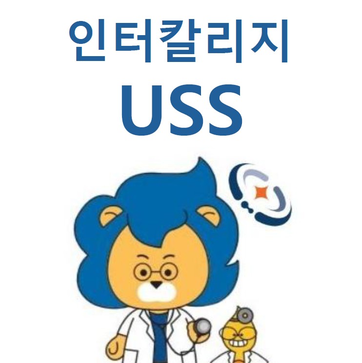 [학부] 인터칼리지USS 강의 참가학생 모집(~6/3까지) [마감]